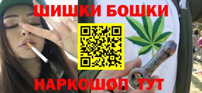 индика Кандалакша