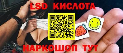 индика Кандалакша