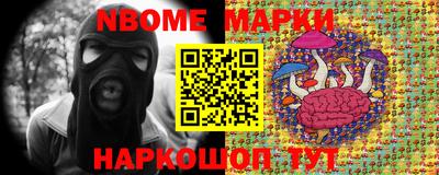 индика Кандалакша