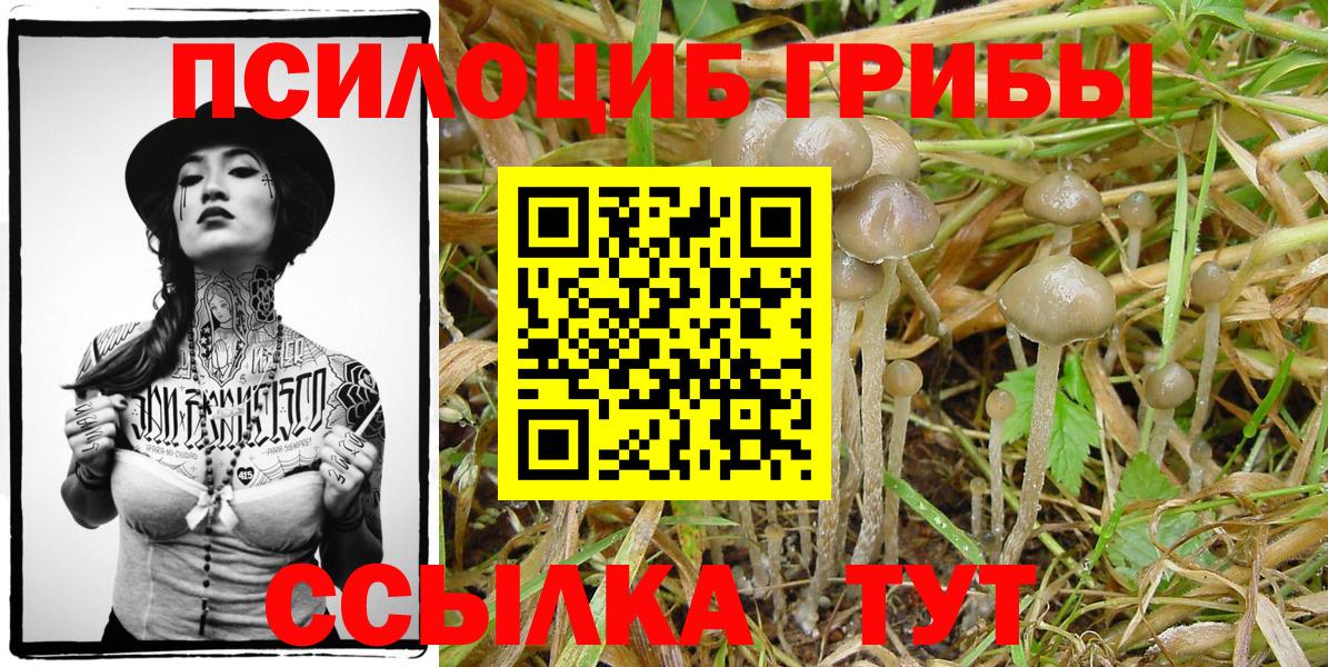 что такое   Псилоцибиновые грибы Psilocybe  Вход с VPN  Галлюциногенные грибы Psilocybine cubensis  Холмск 